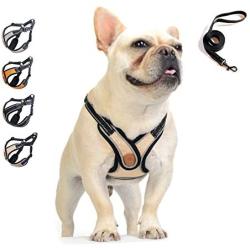 Dog Harness - No Pull Adjustable Soft Air Mesh Vest Harness and Leash Set for Small and Medium Dogs Puppy Cats