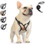 Dog Harness - No Pull Adjustable Soft Air Mesh Vest Harness and Leash Set for Small and Medium Dogs Puppy Cats