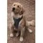 Pucci Paw Dog Harness No Pull Easy Walk for Dogs Cushioned Extra Padding Comfortable Mesh Pet Harness Breathable All Weather Light Weight Strong Puppy Small Medium Large Dog