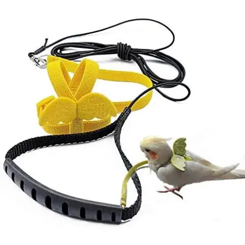 TBWHL Adjustable Parrot Bird Harness Leash Set Anti-bite Training Harness for Parrots TBWHL Adjustable Parrot Bird Harness Leash Set Anti-bite Training Harness for Parrots