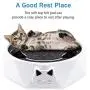 B Bascolor Interactive Cat Toys for Indoor Cats Electronic Squeaky Mouse Cat Toy Automatic Kitten Hunting Toy with Rotating Mouse & Scratching Pad for Cats Kitten Pets B Bascolor Interactive Cat Toys for Indoor Cats Electronic Squeaky Mouse Cat Toy Automatic Kitten Hunting Toy with Rotating Mouse & Scratching Pad for Cats Kitten Pets
