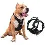 MeyKoo Dog Harness No Pull Soft Breathable,Easy Put on &Off No Choke Control Training Handle Outdoor Walk Joyride,Adjustable Reflective Padded Leash Vest Harness for Small Medium Large Dogs (S, Black) MeyKoo Dog Harness No Pull Soft Breathable,Easy Put on &Off No Choke Control Training Handle Outdoor Walk Joyride,Adjustable Reflective Padded Leash Vest Harness for Small Medium Large Dogs (S, Black)