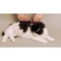 Scaredy Cut Silent Pet Grooming Kit for Dog, Cat and All Pet Grooming - A Quiet Alternative to Electric Clippers for Sensitive Pets