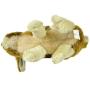 Hyper Pet Wildlife Critters Plush Dog Toys