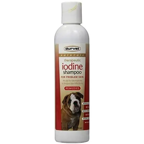 Durvet Naturals Iodine Shampoo, 8-Ounce Durvet Naturals Iodine Shampoo, 8-Ounce