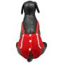 Alfie Pet - Jay Diaper Dog Sanitary Pantie with Suspender Set - Size: XS (for Girl Dogs) Alfie Pet - Jay Diaper Dog Sanitary Pantie with Suspender Set - Size: XS (for Girl Dogs)