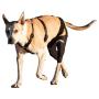 Walkabout Double Knee Brace and Chest Harness (Medium Brace L Chest Harness)