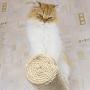 Wall Mounted Cat Furniture Cat Tree Activity Scratching Posts, Floating Kitten Shelving Perches, Kitty Climbing Racks, Handmade