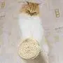 Wall Mounted Cat Furniture Cat Tree Activity Scratching Posts, Floating Kitten Shelving Perches, Kitty Climbing Racks, Handmade Wall Mounted Cat Furniture Cat Tree Activity Scratching Posts, Floating Kitten Shelving Perches, Kitty Climbing Racks, Handmade
