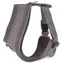 CATSPIA Lumi A Harness CATSPIA Lumi A Harness