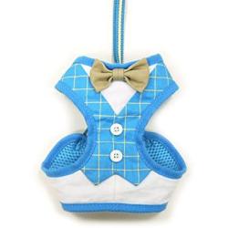 Dogo EasyGo Bowtie Blue Harness