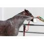 SYNBIONT AGRICULTURAL WASH Ag Wash: 1 Gallon Concentrate Horse Shampoo pet Supplies Dog Shampoo Horse tack wash