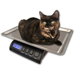 ZIEIS | 30 Lb. Capacity | Medium Pet Series - Digital Cat Scale | Z30P-SST | BigTop (15'' x 10'' x 1'' ID) Stainless Steel Top | AC/DC Power | 0.1 Ounce Accuracy