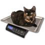 ZIEIS | 30 Lb. Capacity | Medium Pet Series - Digital Cat Scale | Z30P-SST | BigTop (15'' x 10'' x 1'' ID) Stainless Steel Top | AC/DC Power | 0.1 Ounce Accuracy
