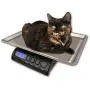 ZIEIS | 30 Lb. Capacity | Medium Pet Series - Digital Cat Scale | Z30P-SST | BigTop (15'' x 10'' x 1'' ID) Stainless Steel Top | AC/DC Power | 0.1 Ounce Accuracy