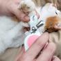 ganeric Cat and Dog Nail Clipper,for Large and Small Animals Professional Trimming Tools-with Safety Guard to Avoid Over Cutting, Free Nail File, Razor Sharp Blade