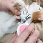 ganeric Cat and Dog Nail Clipper,for Large and Small Animals Professional Trimming Tools-with Safety Guard to Avoid Over Cutting, Free Nail File, Razor Sharp Blade