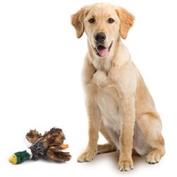 wangstar Pet Mallard Duck Dog Toy, Squeaky Dog Toy, Plush Puppy Dog Chew Toy for Small Medium Dogs