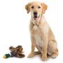 wangstar Pet Mallard Duck Dog Toy, Squeaky Dog Toy, Plush Puppy Dog Chew Toy for Small Medium Dogs