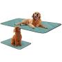 Newbeau Washable Pee Pads for Dogs, Dog Training Pad with Durable Oxford Cloth, Reusable Seat Protector Pad for Beds,Couches,Cars,Chairs - Set of 2