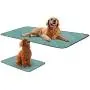 Newbeau Washable Pee Pads for Dogs, Dog Training Pad with Durable Oxford Cloth, Reusable Seat Protector Pad for Beds,Couches,Cars,Chairs - Set of 2