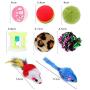 Cat Interactive Toy Set Tunnel Ball Mouse Toy Set Kitten Toy Classification Various Catnip Toy Set Funny Toy Cat Pet Toy