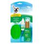 TropiClean Fresh Breath Fresh N Fun Dental Chew Toy for Small and Medium Dogs