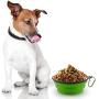 Kathy Large Collapsible Dog Bowls, 2 Pack Portable Foldable Cup Water Bowls with Carabiner Clip for Travel for Pet Cat Food Feeding