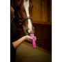 Wahl Professional Animal Bravura Pet, Dog, Cat, and Horse Corded/Cordless Clipper Kit