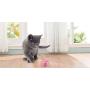 Plastic Bell Ball Pet Playing Ball Toys Two Color Bell Ball Jingle Balls Colorful Ball Toys Hollow Out Round Toys for Pet Cat Dog