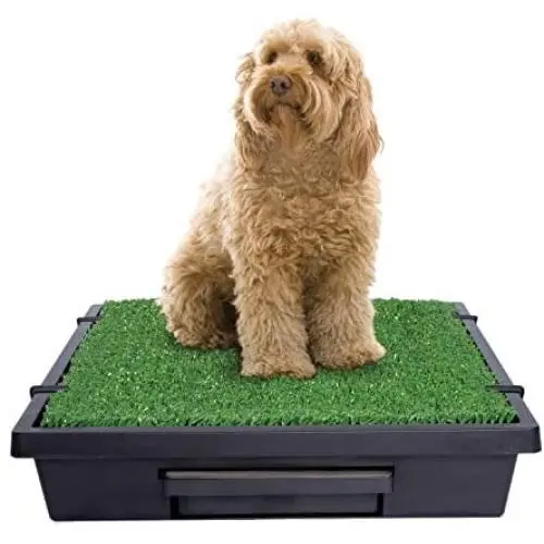 PetSafe Pet Loo Portable Indoor/Outdoor Dog Potty, Alternative to Puppy Pads, 3 Size Options for Small, Medium and Large Breeds PetSafe Pet Loo Portable Indoor/Outdoor Dog Potty, Alternative to Puppy Pads, 3 Size Options for Small, Medium and Large Breeds