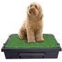 PetSafe Pet Loo Portable Indoor/Outdoor Dog Potty, Alternative to Puppy Pads, 3 Size Options for Small, Medium and Large Breeds
