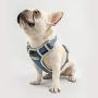 TUFF HOUND No Pull Dog Harness for Small Medium Dogs,3M Reflective Pet Vest, Adjustable Pink Pet Harness, Unchewable Dog Collar