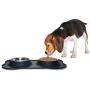 KEKS Small Dog Bowls Set of 2 Stainless Steel Bowls with Non-Skid & No Spill Silicone Stand for Small Dogs Cats Puppy & Collapsible Travel Pet Bowl