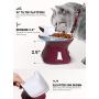 LE TAUCI Ceramic Cat Bowl Elevated, Raised Cat Food Bowl 4 Ounce Cat Dish for Food and Water for Small Cat Dog