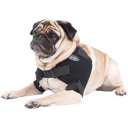 Caldera Pet Therapy Shoulder Pet Therapy Wrap with Therapy Gel, Small