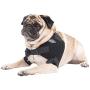Caldera Pet Therapy Shoulder Pet Therapy Wrap with Therapy Gel, Small