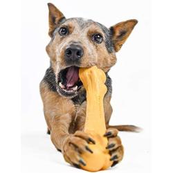 Pet Qwerks Zombie NYLON BarkBone - Chew Toy for Aggressive Chewers, Tough Durable Extreme Power Chewer Bone | Made in USA -  Available in 2 Flavors and 4 Sizes