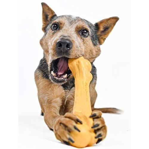 Pet Qwerks Zombie NYLON BarkBone - Chew Toy for Aggressive Chewers, Tough Durable Extreme Power Chewer Bone | Made in USA -  Available in 2 Flavors and 4 Sizes