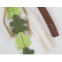 Petlinks 49723 Wild Waver Diffuser Wand with Leaves Hyper Nip Catnip Toy