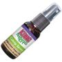 KONG Catnip Spray add Life to Old cat Toys