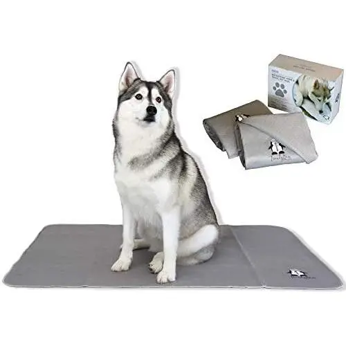Trendy Den Creations - Washable Pee Pads for Dogs - Reusable Puppy Training Pads - 36''X48'' 2 Pack Dog Training Pads Extra Large - Dog or Cat Bed - Whelping Pads Dog Kennel or Crate Puppy Pee Pads Trendy Den Creations - Washable Pee Pads for Dogs - Reusable Puppy Training Pads - 36''X48'' 2 Pack Dog Training Pads Extra Large - Dog or Cat Bed - Whelping Pads Dog Kennel or Crate Puppy Pee Pads