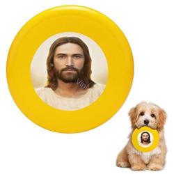 Pet Frisbee Flying Disc Dog Toy - Multifunction Light of The World Brent Borup