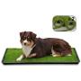 LOOBANI 35in x 23in Extra Large Grass Porch Potty Tray, 2-Packs Replacement Artificial Fake Grass Puppy Training Pads- Portable Dog Patio Potty for Balcony/Apartment Use