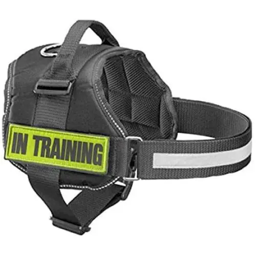 JUJUPUPS Reflective Dog Patches 2 Pack Service Dog,in Training,do not