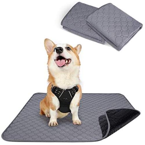 rabbitgoo Dog Harness & Dog Potty Training Pee Pads - Adjustable No Pull Dog Vest with Leash Clips(M) | Washable Pee Pads for Dogs and Cats Waterproof Large Puppy Pads Super Absorbent Non-Slip