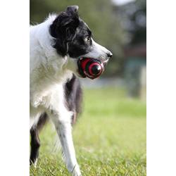 Nerf Dog Squeak Rubber Football Dog Toy