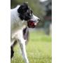 Nerf Dog Squeak Rubber Football Dog Toy