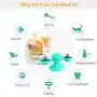 BiaoGan 2 Pack Windmill Cat Toy, Turntable Teasing Pet Toy with Suction Cup Include 1 Green & 1 Yellow, Scratching Tickle Cats Hair Brush Funny Kitten Toys. BiaoGan 2 Pack Windmill Cat Toy, Turntable Teasing Pet Toy with Suction Cup Include 1 Green & 1 Yellow, Scratching Tickle Cats Hair Brush Funny Kitten Toys.