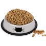 Legendog 3PCS Pet Bowl Stainless Steel Non-Skid Base Dog Bowl Cat Bowl with 2 Food Scoop